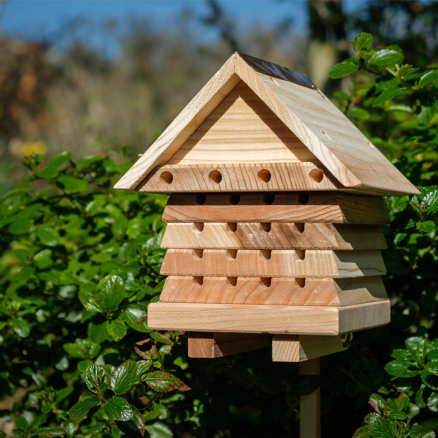 Stacking solitary bee hive