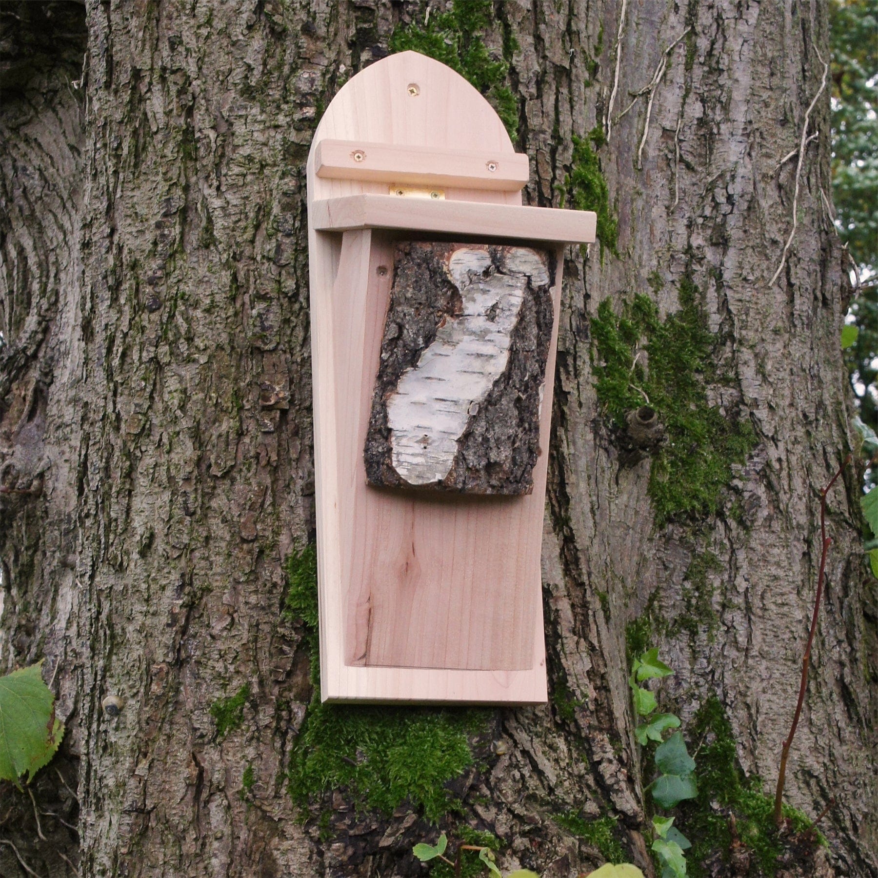Tree creeper nest box