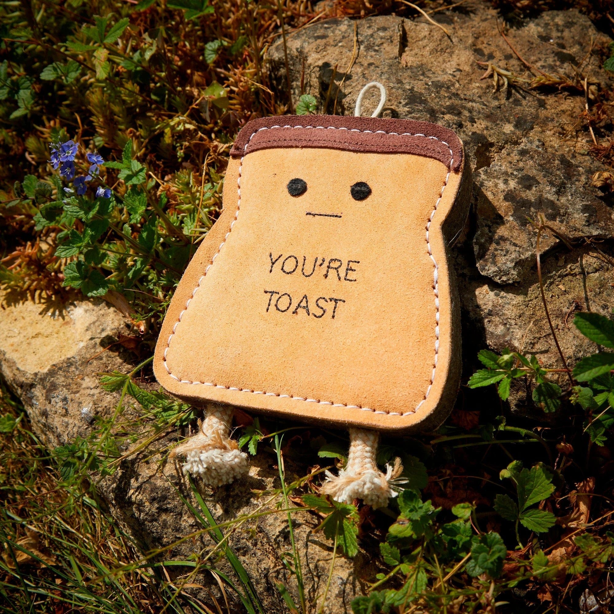 You're toast eco pet toy